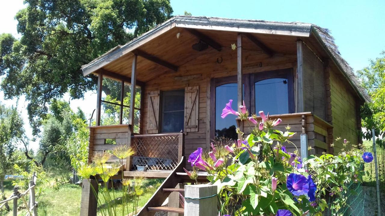 Serra das Alhadas Casa Do Sobreiro 2 Bed & Breakfast エクステリア 写真