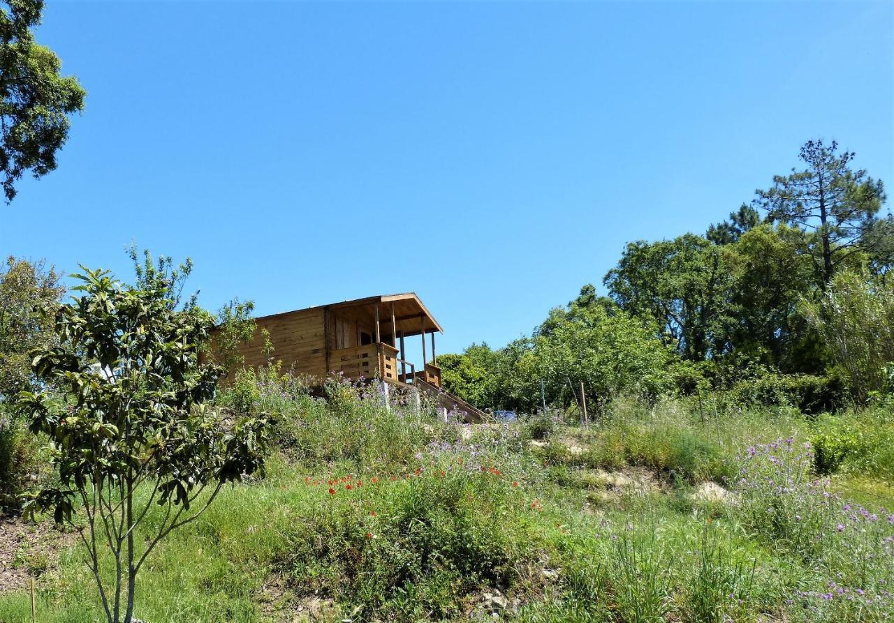 Serra das Alhadas Casa Do Sobreiro 2 Bed & Breakfast エクステリア 写真