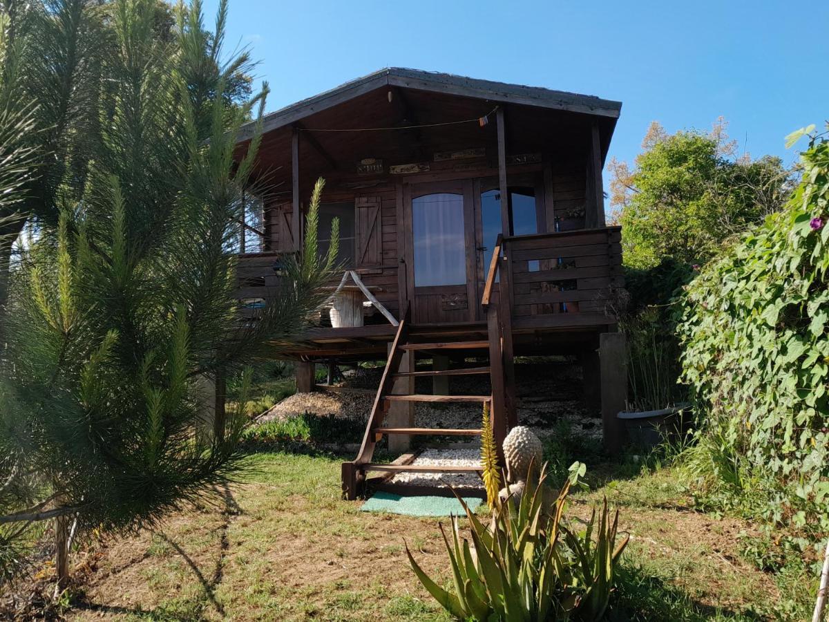 Serra das Alhadas Casa Do Sobreiro 2 Bed & Breakfast エクステリア 写真