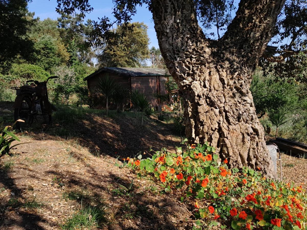 Serra das Alhadas Casa Do Sobreiro 2 Bed & Breakfast エクステリア 写真