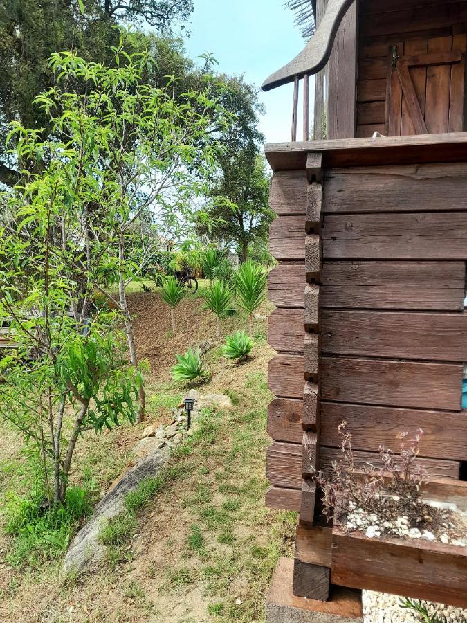 Serra das Alhadas Casa Do Sobreiro 2 Bed & Breakfast エクステリア 写真