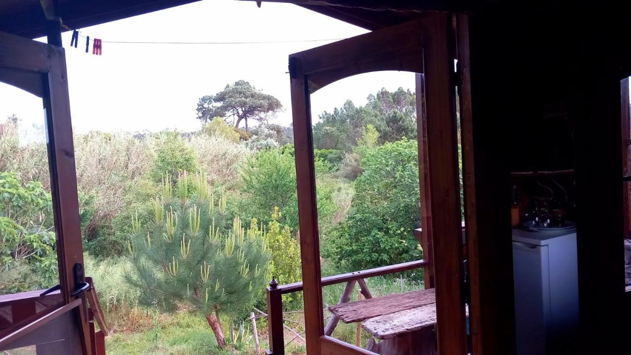 Serra das Alhadas Casa Do Sobreiro 2 Bed & Breakfast エクステリア 写真