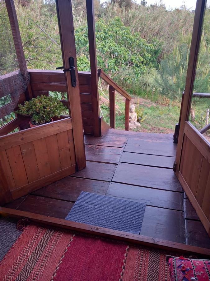 Serra das Alhadas Casa Do Sobreiro 2 Bed & Breakfast エクステリア 写真