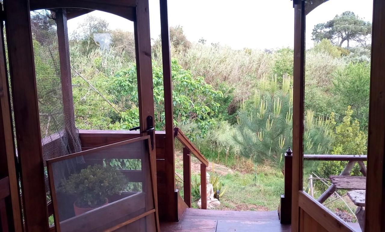 Serra das Alhadas Casa Do Sobreiro 2 Bed & Breakfast エクステリア 写真