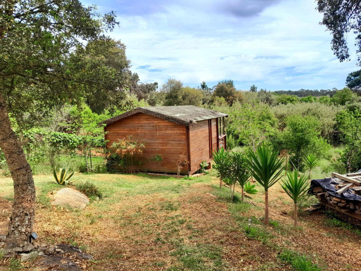 Serra das Alhadas Casa Do Sobreiro 2 Bed & Breakfast エクステリア 写真