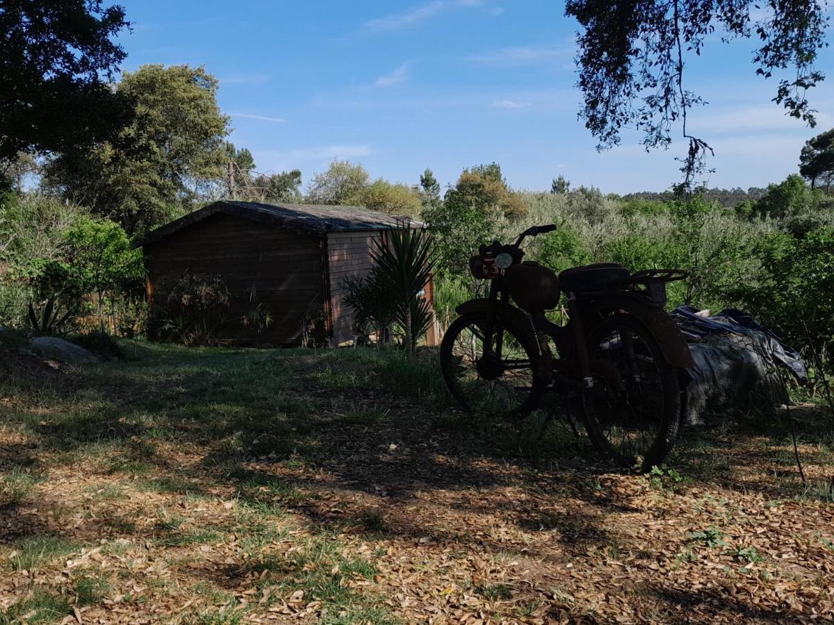 Serra das Alhadas Casa Do Sobreiro 2 Bed & Breakfast エクステリア 写真